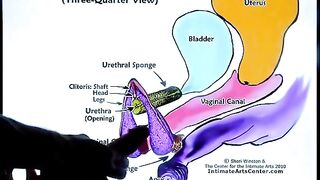 How to make a pussy squirt with step-by-step instructions, featuring Mr. PussyLicking’s expert guidance on achieving the ultimate female orgasm
