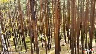 A brunette girl was fucked hard and deep in the woods by a guy