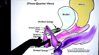 How to Squirt?! The ultimate tutorial is here! Get ready to learn from the master!