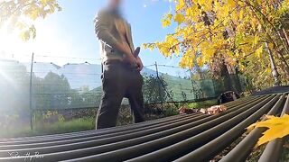 Dick Flash in the park: a slutty MILF can't resist giving me a hard titty fuck
