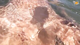 A couple has sex on the beach in Valencia, Spain