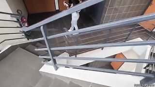Fake agents fucked the Chilean model with a perfect ass in a hardcore scene