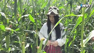 A security guard caught a thief in a cornfield and issued a ticket