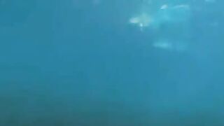 Two aqua analysts are having fun at the bottom of the sea