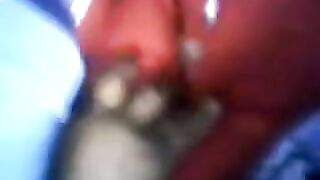 The guy tried to touch the asses of some cows on the bus