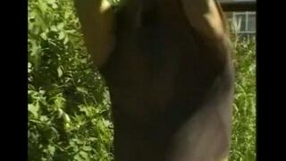 The guy fingered his big dick in the hayloft, imitating sex