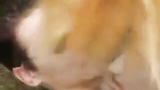 Cute girl was sucking dick in the park and got fucked there