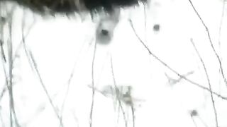 Winter blowjob on the street - eporn - blowjob