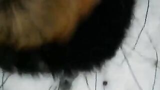 Winter blowjob on the street - eporn - blowjob