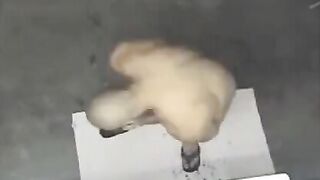 A naked man has been spied on in the shower