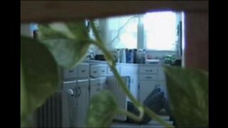 A married couple has no sex for a long time and decided to have sex on camera