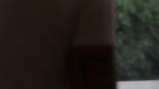 Two guys fucked an Asian in her hole during a move