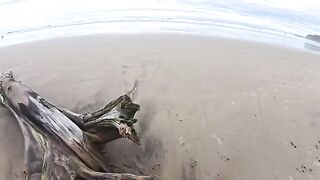 The beach is always humid — from the water and because of it